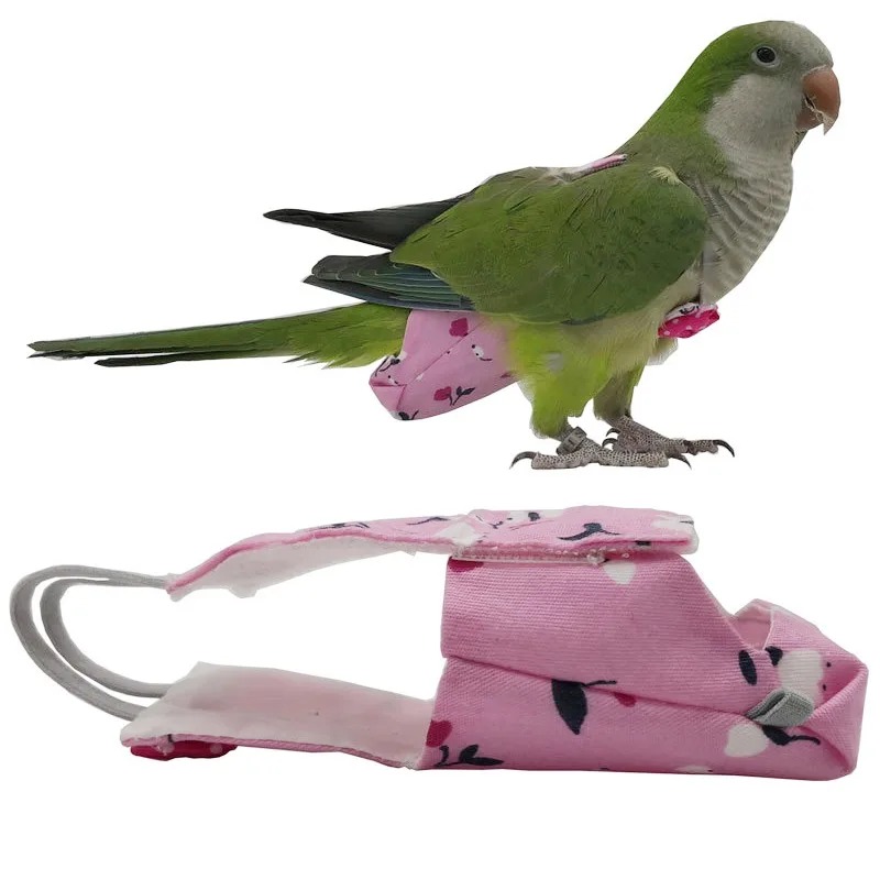 Washable Parrot Diaper Flight  - Plant Parenthood recension och pris