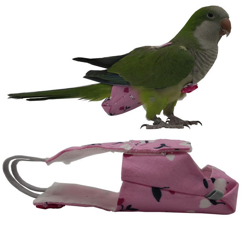 Parrot Diaper with Bowtie Cute - Plant Parenthood recension och pris